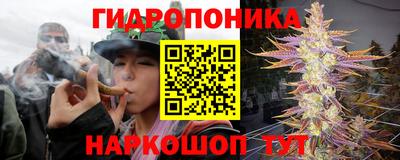 ГАЛЛЮЦИНОГЕННЫЕ ГРИБЫ Ирбит